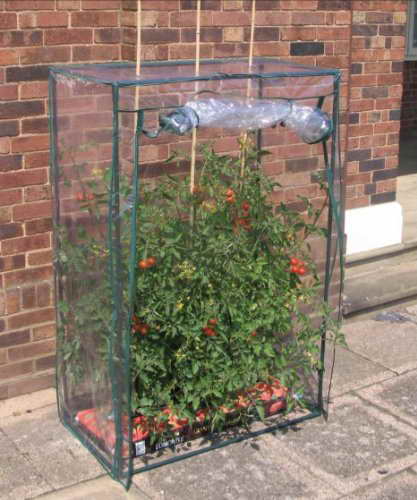 Schmales Tomatenhaus aus Folie mit aufrollbarer Frontfolie