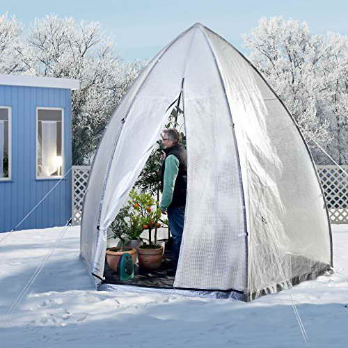 Überwinterungszelt mit Gitternetzfolie über Kübelpflanzen im Garten