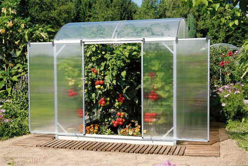 Beckmann Tomatenhaus GB mit Runddach und geöffneter Doppeltür