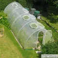 Beckmann Foliengewächshaus • G38 • 24,9m² - Thumbnail 2