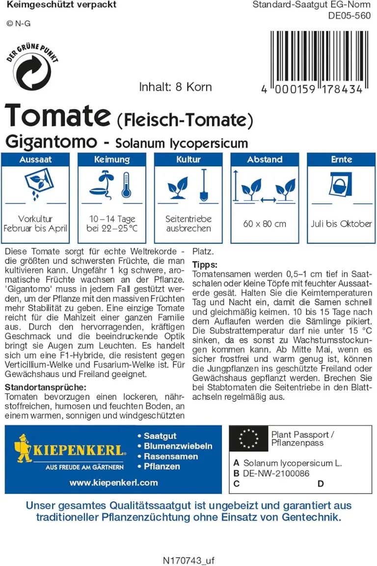 Fleisch-Tomate Gigantomo F1, die größte Tomate der Welt, hervorragender Geschmack, für Freiland und Gewächshaus – Bild 2