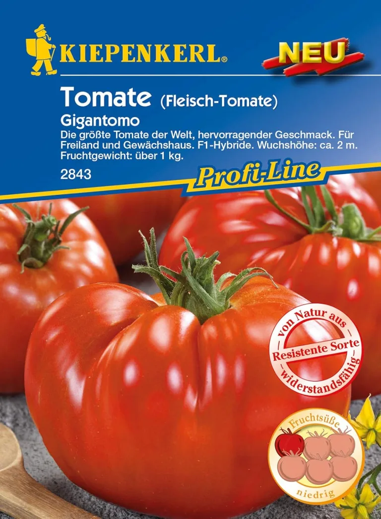 Fleisch-Tomate Gigantomo F1, die größte Tomate der Welt, hervorragender Geschmack, für Freiland und Gewächshaus – Bild 1