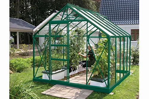 Vitavia Gewächshaus Merkur - Ausführung:8300 ESG 3 mm Grün, Fläche:ca. 8,3 m², Fenster:2, Maße:257 x 321 cm, Sockel:255 x 317 cm, – Bild 3