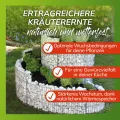 bellissa – Gabionen Kräuterspirale verzinkt 200x150x80cm - Kräuterschnecke Bausatz - Hochbeet Pflanzring für Kräuter & Gemüse mit Trennfolie - Witterungsbeständig & langlebig - Für Garten & Terrasse - Thumbnail 5
