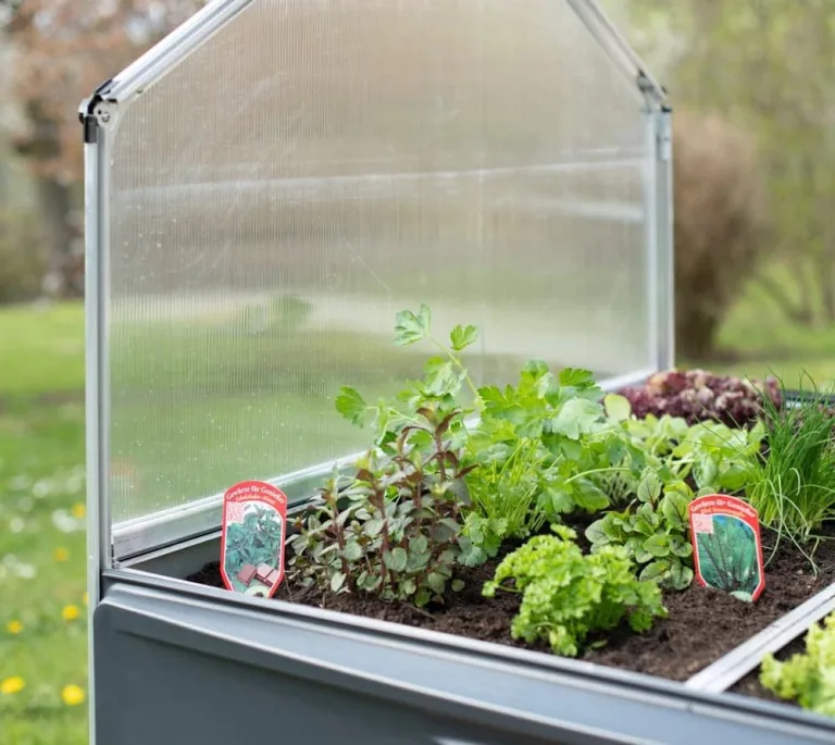 Palram Hochbeet Plant Inn mit Frühbeet-Aufsatz • mehrfarbig • 1,40m² – Bild 5