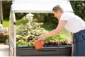 Palram Hochbeet Plant Inn mit Frühbeet-Aufsatz • mehrfarbig • 1,40m² - Thumbnail 4