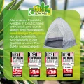 Bio Green Winter-Gewächshaus Tropical Island Zelt Größe L - Thumbnail 6