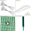PLANTASIA® Foliengewächshaus Tomatenhaus Pflanzenhaus 5,16m² - Thumbnail 4
