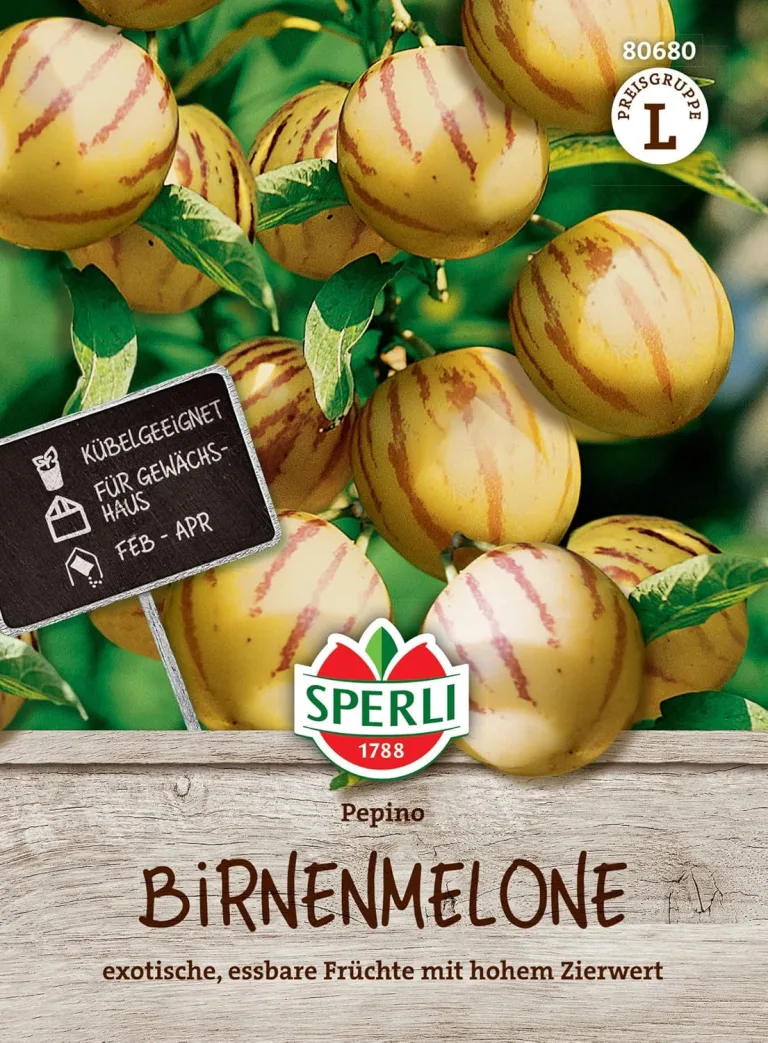 Sperli Cherry-Tomatensamen Yellow Pearshaped 83292 - Kübelgeeignet - für Gewächshaus - dekorativ - kleinfrüchtige Naschsorte - Saatgut, Samen Gemüse – Bild 7