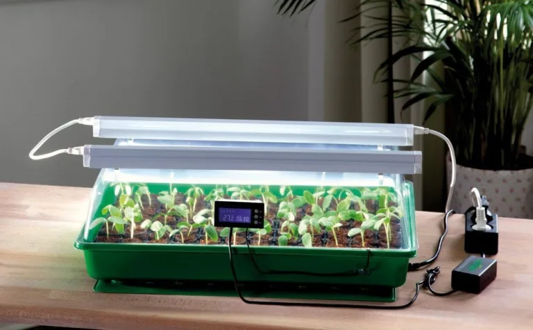 ROMBERG Zimmergewächshaus mit Zwei Lampen, Thermodog und Thermostat – Mini Gewächshaus Maximus Complete – 57 x 38 x 18 cm – Bild 1