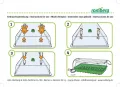ROMBERG Zimmergewächshaus mit Zwei Lampen, Thermodog und Thermostat – Mini Gewächshaus Maximus Complete – 57 x 38 x 18 cm - Thumbnail 3