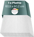 Hohlkammerplatten für Gewächshaus 60,5 x 60,2 cm - Polycarbonatplatten, Kunststoffplatten 4mm, Wetterfeste Gewächshausplatten, Polycarbonat Stegplatten, Transparentes & UV-beständige Wellplattendach - Thumbnail 1