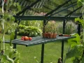 Vitavia Gewächshäuser Gewächshaus-Aluminiumregal 120 x 31cm abklappbar Klappregal grün - Thumbnail 1