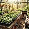 GREEN24 Profi Gewächshaus-Wanne XL565G gelocht für Pflanzen, Gewächshäuser und Garten - Thumbnail 2