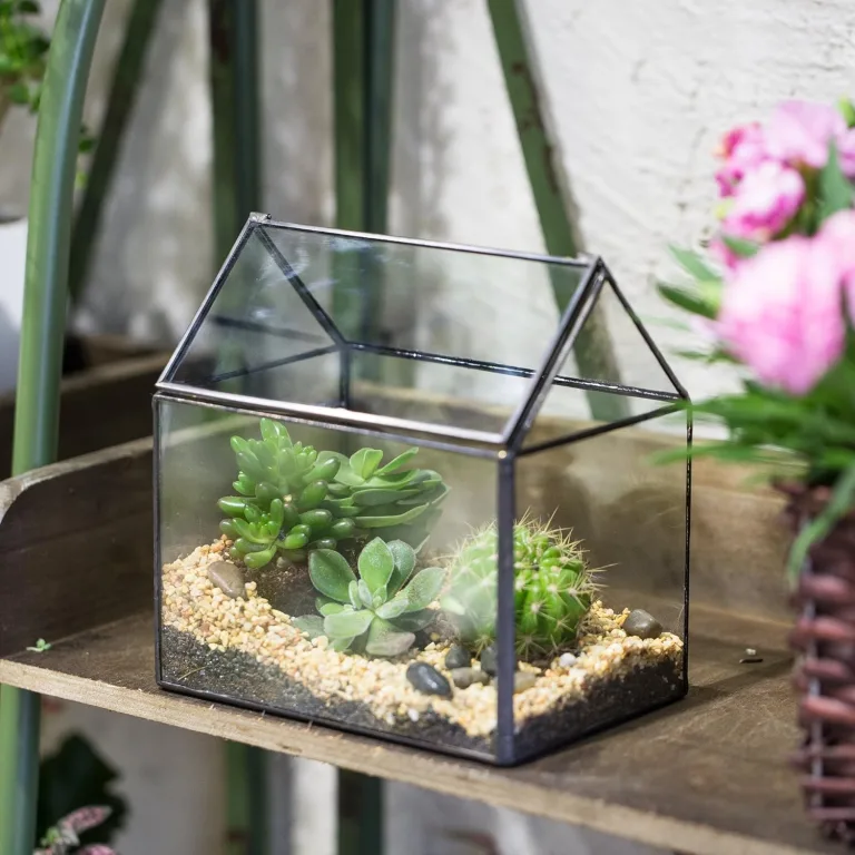 NCYP 15,5x11x16 cm Kleines Geometrisches Terrarium, Haus-Form, Glas, schließbar, Gewächshäuschen für Sukkulenten Moos Farn, mit Klappdeckel (ohne Pflanzen) – Bild 6