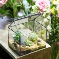 NCYP 15,5x11x16 cm Kleines Geometrisches Terrarium, Haus-Form, Glas, schließbar, Gewächshäuschen für Sukkulenten Moos Farn, mit Klappdeckel (ohne Pflanzen) - Thumbnail 2