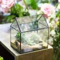 NCYP 15,5x11x16 cm Kleines Geometrisches Terrarium, Haus-Form, Glas, schließbar, Gewächshäuschen für Sukkulenten Moos Farn, mit Klappdeckel (ohne Pflanzen) - Thumbnail 3