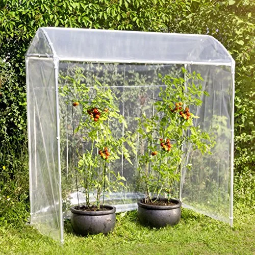 Windhager Tomatengewächshaus Alustar Premium, Tomatenhaus zur Anzucht von Gemüse, Stabiles Gewächshaus, Frühbeet- und Tomatenzelt, UV-Beständig, 170 x 150 x 80 cm, 38111 – Bild 9
