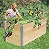 Beckmann Hochbeet mit Frühbeet • Allgäu Modell 1 • Holz Lärche • 1,80m² - Thumbnail 2