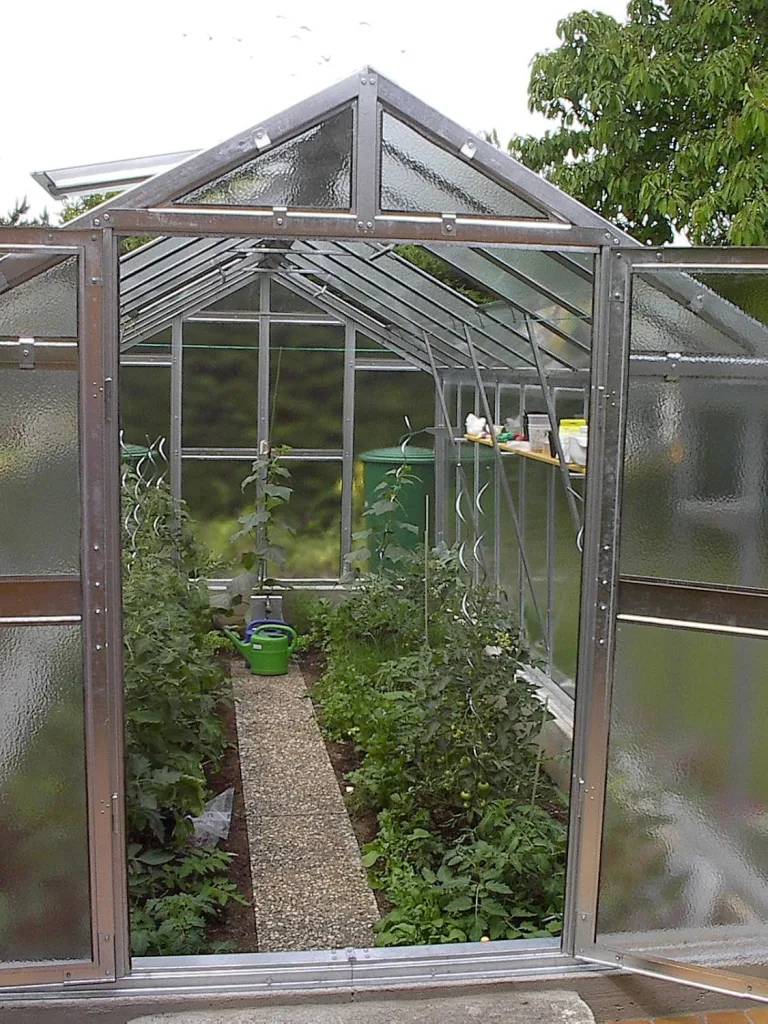 Gewächshaus Junior aus verzinkten Stahlblechprofilen und Echt-Glas, Breite 2,49 m x Länge 4,06 m = 10 m² – Bild 6