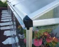 Palram Anlehngewächshaus • 8×4 • mit Stahlfundament • 3,05m² - Thumbnail 5