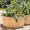 Beckmann Hochbeet • HBL5 • Holz Lärche • 1,60m² - Thumbnail 2