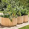 Beckmann Hochbeet • HBL6 • Holz Lärche • 2,20m² - Thumbnail 2