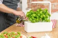 Click and Grow Growbox, Smart Garden, einfacher als Hydroponisches anzuchtsystem, Indoor Garten, kräutergarten, Indoor gewächshaus mit 3 Plant pods dabei, Weiß - Thumbnail 2