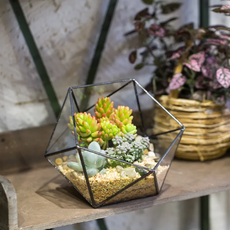 NCYP 17x17x17cm Handmade Blumentopf, Geometrisches Glasterrarium, in Form Einer Halbkugel, für Balkon, Tischdeko, als Blumentopf für Miniatur-Bonsai, Übertopf für Sukkulente (ohne Pflanzen) – Bild 3