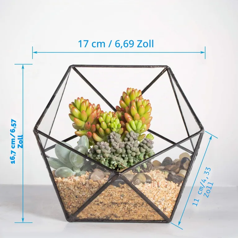 NCYP 17x17x17cm Handmade Blumentopf, Geometrisches Glasterrarium, in Form Einer Halbkugel, für Balkon, Tischdeko, als Blumentopf für Miniatur-Bonsai, Übertopf für Sukkulente (ohne Pflanzen) – Bild 5