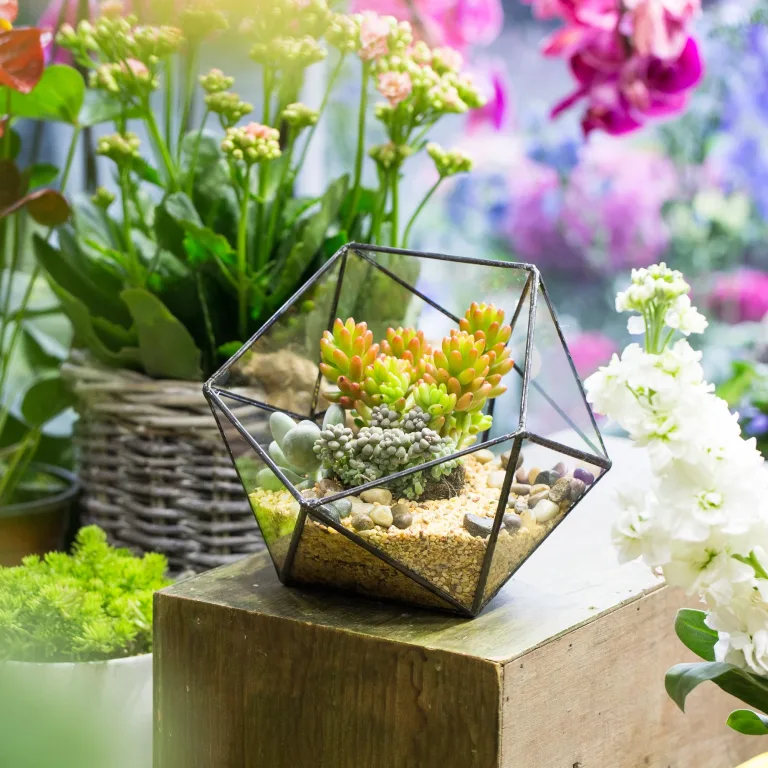 NCYP 17x17x17cm Handmade Blumentopf, Geometrisches Glasterrarium, in Form Einer Halbkugel, für Balkon, Tischdeko, als Blumentopf für Miniatur-Bonsai, Übertopf für Sukkulente (ohne Pflanzen) – Bild 8