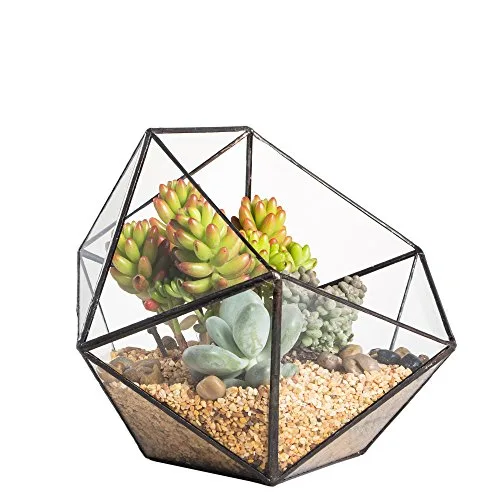 NCYP 17x17x17cm Handmade Blumentopf, Geometrisches Glasterrarium, in Form Einer Halbkugel, für Balkon, Tischdeko, als Blumentopf für Miniatur-Bonsai, Übertopf für Sukkulente (ohne Pflanzen) – Bild 10
