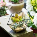 NCYP 17x17x17cm Handmade Blumentopf, Geometrisches Glasterrarium, in Form Einer Halbkugel, für Balkon, Tischdeko, als Blumentopf für Miniatur-Bonsai, ​Übertopf für Sukkulente (ohne Pflanzen) - Thumbnail 2