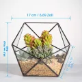NCYP 17x17x17cm Handmade Blumentopf, Geometrisches Glasterrarium, in Form Einer Halbkugel, für Balkon, Tischdeko, als Blumentopf für Miniatur-Bonsai, ​Übertopf für Sukkulente (ohne Pflanzen) - Thumbnail 5