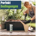 Digitales Gewächshaus-Thermometer – Klassisches Min-Max-Thermometer zur Messung von Maximal- und Minimaltemperaturen – Wandmontiertes Gewächshaus-Minimum-Maximum - Thumbnail 6