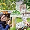 Die Stadtgärtner – Rollendes Hochbeet I Hochwertiges Hochbeet auf Rollen aus Zwiebelsieben I Kräuterbeet aus Holz für Garten, Terrasse & Balkon I Maße: 75 x 51 x 37,5 cm - Thumbnail 2
