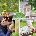 Die Stadtgärtner – Rollendes Hochbeet I Hochwertiges Hochbeet auf Rollen aus Zwiebelsieben I Kräuterbeet aus Holz für Garten, Terrasse & Balkon I Maße: 75 x 51 x 37,5 cm - Thumbnail 3