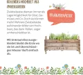 Die Stadtgärtner – Rollendes Hochbeet I Hochwertiges Hochbeet auf Rollen aus Zwiebelsieben I Kräuterbeet aus Holz für Garten, Terrasse & Balkon I Maße: 75 x 51 x 37,5 cm - Thumbnail 4