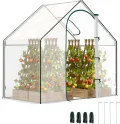 Outsunny Gewächshaus mit Fernster, Rolltür, Winterfest Foliengewächshaus aus Stahl, Treibhaus für Balkon, Garten, Tomatenhaus 180 x 100 x 168 cm, Tomatengewächshaus für Tomaten, Gemüse, Transparent - Thumbnail 1