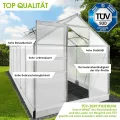 BRAST Gewächshaus Aluminium mit Fundament | 42 Modelle | 130x190x195cm - 490x250x235cm | TÜV geprüft | 6mm Hohlkammerplatten | rostfrei wetterfest temperaturbeständig | 380x190x195cm Silber - Thumbnail 4