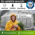 BRAST Gewächshaus Aluminium mit Fundament | 42 Modelle | 130x190x195cm - 490x250x235cm | TÜV geprüft | 6mm Hohlkammerplatten | rostfrei wetterfest temperaturbeständig | 490x250x205cm Silber - Thumbnail 3
