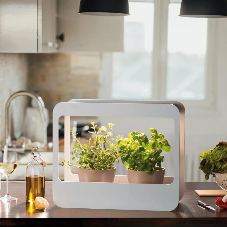 Romberg Home Garden Mini Gewächshaus mit LED Wachstumslampe für Pflanzen, LED Pflanzenlampe Vollspektrum, 14W Grow Light für Basilikum Topf, Minze Samen und Rosmarin Pflanze, 50.5x21x40 cm – Bild 2