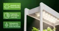 Romberg Home Garden Mini Gewächshaus mit LED Wachstumslampe für Pflanzen, LED Pflanzenlampe Vollspektrum, 14W Grow Light für Basilikum Topf, Minze Samen und Rosmarin Pflanze, 50.5x21x40 cm - Thumbnail 3