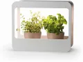 Romberg Home Garden Mini Gewächshaus mit LED Wachstumslampe für Pflanzen, LED Pflanzenlampe Vollspektrum, 14W Grow Light für Basilikum Topf, Minze Samen und Rosmarin Pflanze, 50.5x21x40 cm - Thumbnail 1