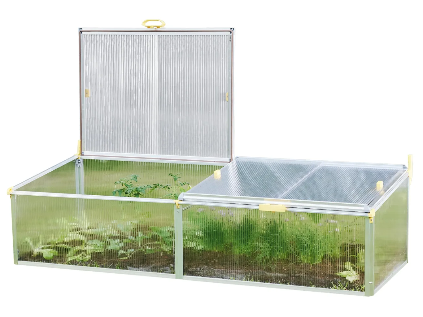 JUWEL Beetsystem Bio Protect 2000 (Frühbeet aus wärmeisolierenden Thermoscheiben, zur Aufzucht von Pflanzen, mit integriertem Schutznetz gegen Insekten) 20148 - Bild 1