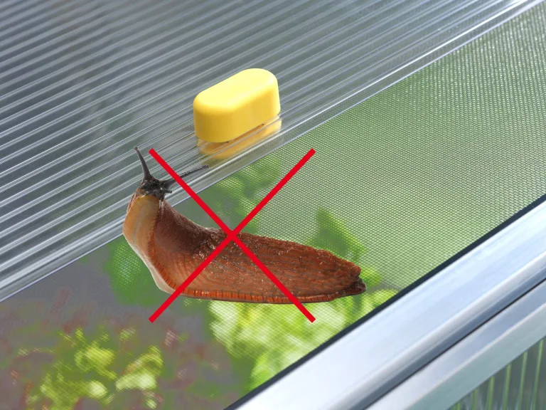 JUWEL Beetsystem Bio Protect 2000 (Frühbeet aus wärmeisolierenden Thermoscheiben, zur Aufzucht von Pflanzen, mit integriertem Schutznetz gegen Insekten) 20148 – Bild 6