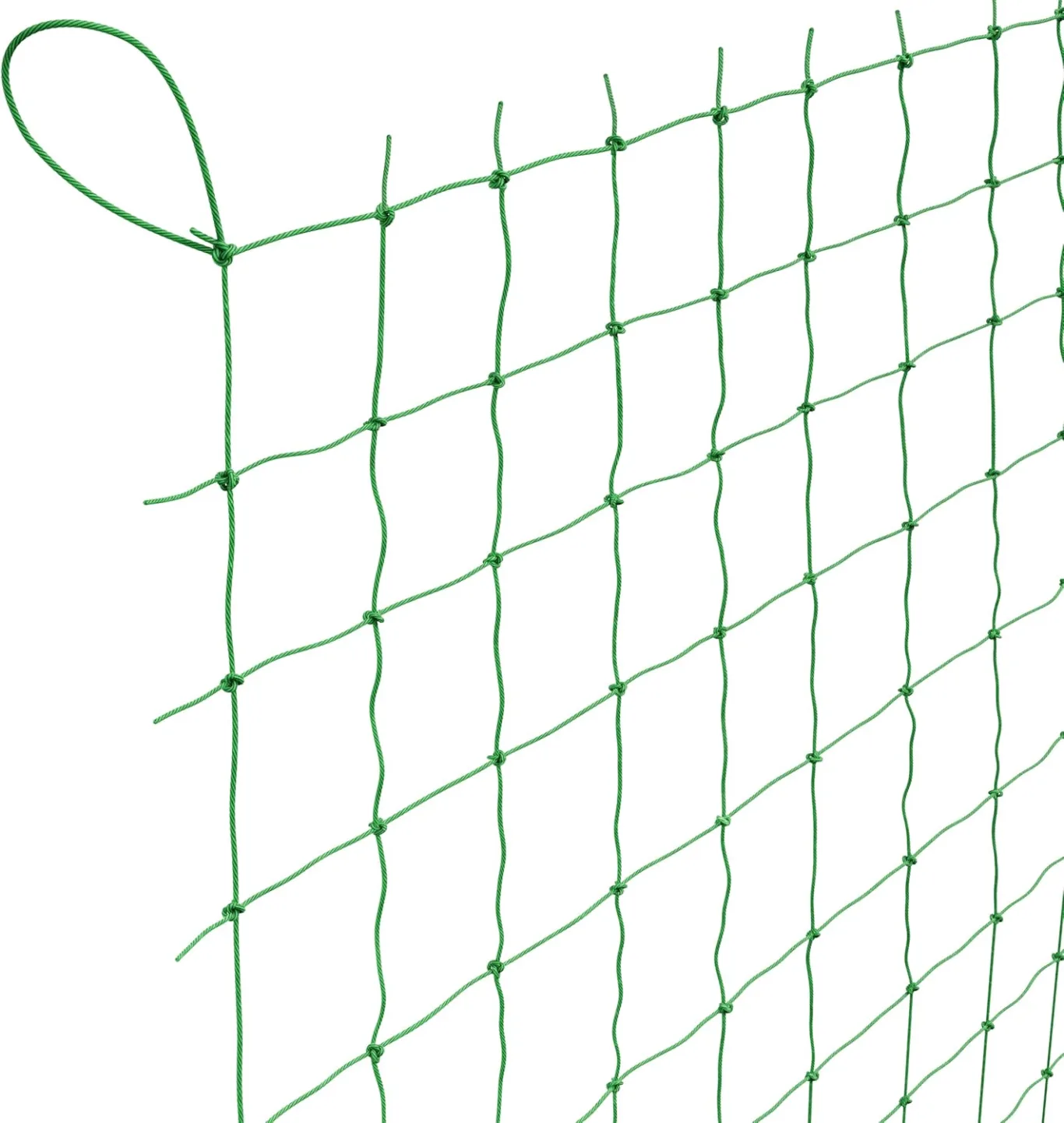 GardenGloss® Ranknetz mit großer Maschenweite für besonders ertragreiche Ernte von Gurken, Tomaten und Anderen Gemüsepflanzen - Rankhilfen für Kletterpflanzen (2m x 2.5m) - Bild 1
