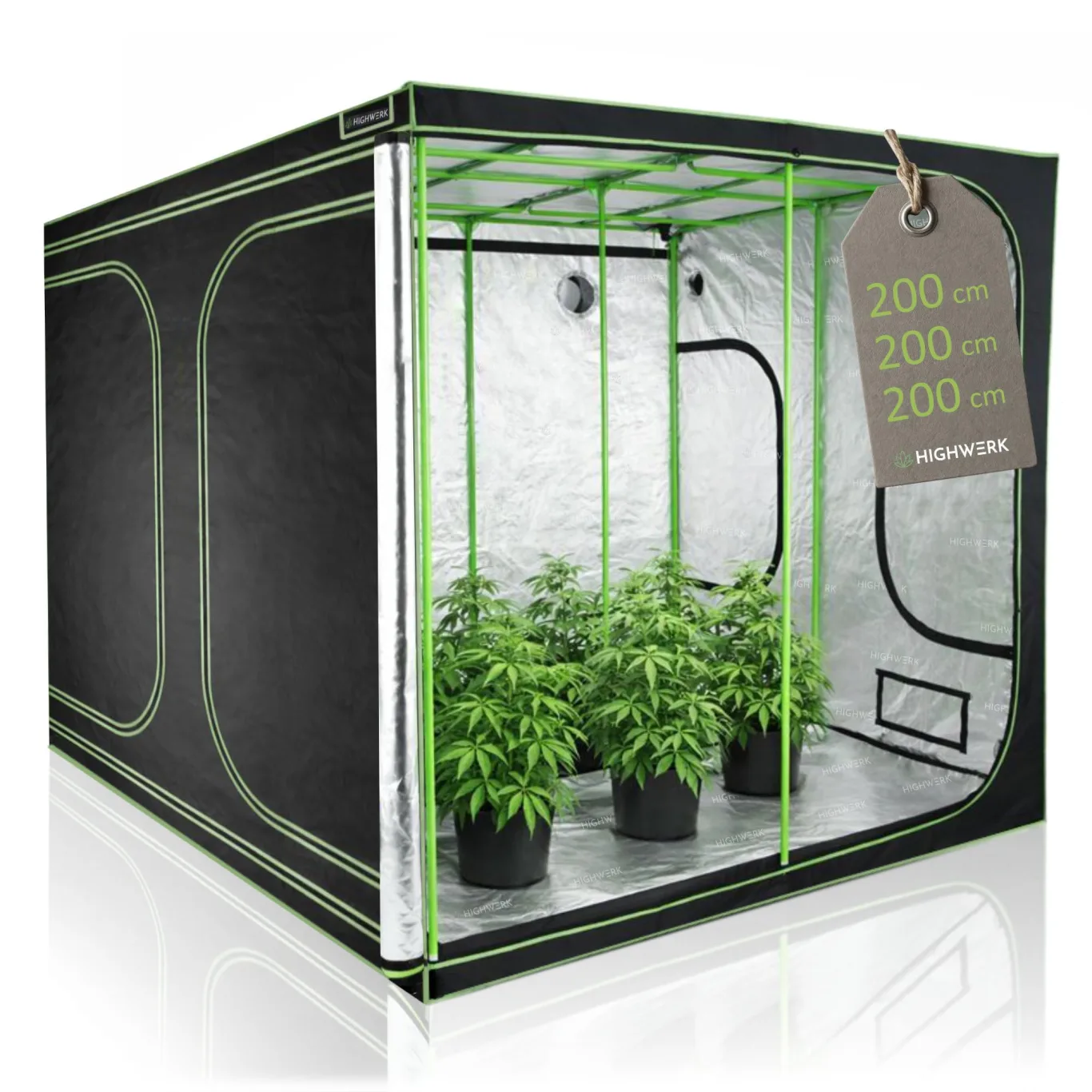 Growzelt 200 x 200 x 200 cm | MyHomeGrow Grow Tent, schwarz grün | Indoor Grow Tent für Pflanzenzucht | Growbox, Homegrow, Growschrank | Zuchtzelt, Pflanzenzelt, Anzuchtzelt, Gewächshaus - Bild 1
