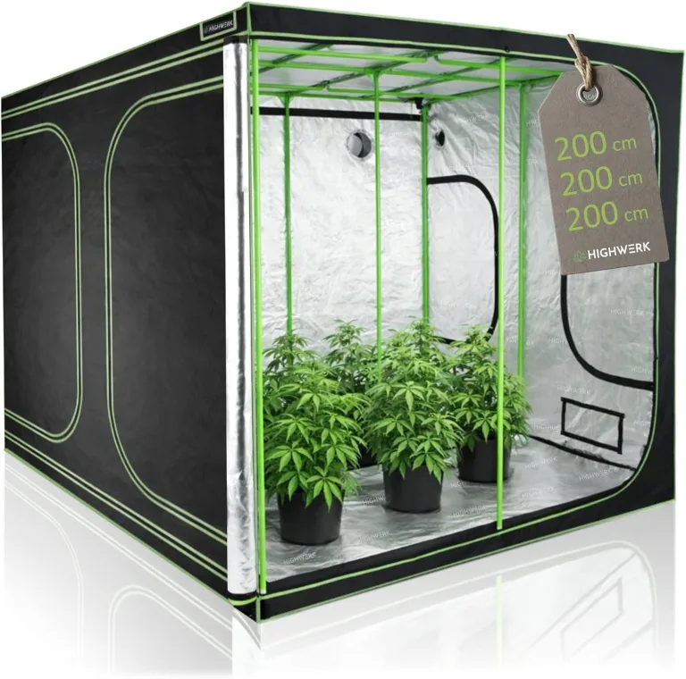 Zelsius Growzelt MyHomeGrow Grow Tent | Indoor Growroom | schwarz grün | Growschrank Darkroom Pflanzenzelt Gewächshaus Zuchtzelt (80 x 80 x 180 cm) – Bild 8