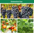KINGLAKE Ranknetz für Kletterpflanzen, Gurkennetz 3.6X1.8M, Rankhilfe Gurken Netz, Pflanzennetze Kletternetz, Hochbeet Rank Netz, Rankgitter für Gewächshaus Garten Bohnen Tomaten-Grün - Thumbnail 8